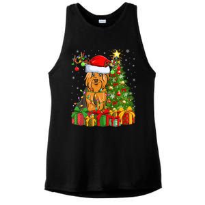 Xmas Holiday Santa Yorkshire Terrier Dog Christmas Tree Gift Ladies PosiCharge Tri-Blend Wicking Tank