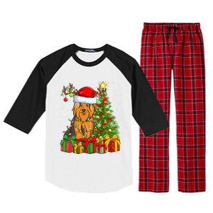 Xmas Holiday Santa Yorkshire Terrier Dog Christmas Tree Gift Raglan Sleeve Pajama Set