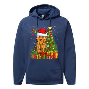 Xmas Holiday Santa Yorkshire Terrier Dog Christmas Tree Gift Performance Fleece Hoodie