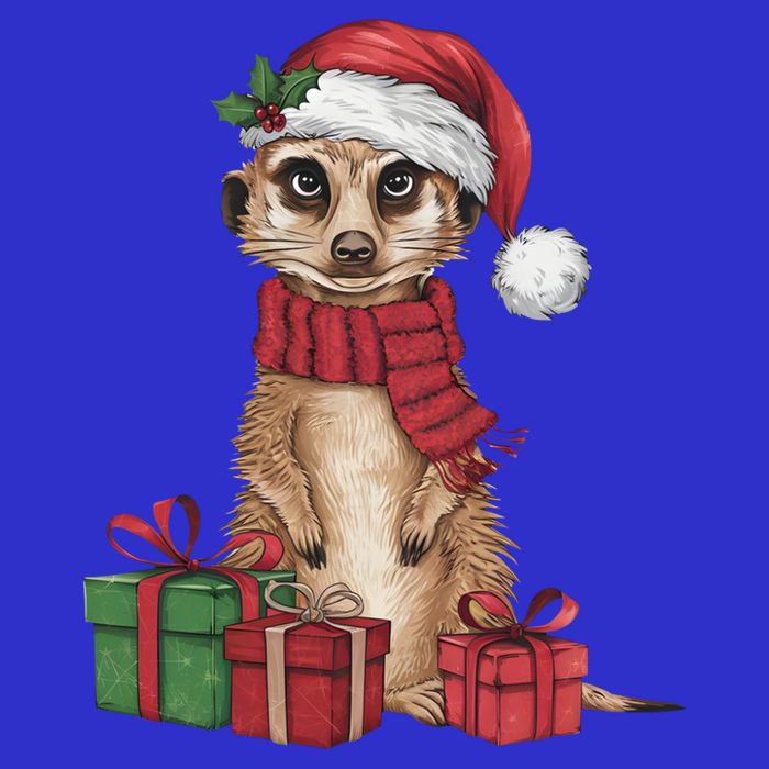 Xmas Holiday Santa Meerkat Christmas Great Gift Button