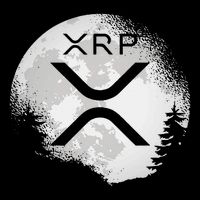Xrp Hodl To The Moon Crypto Drawstring Bag