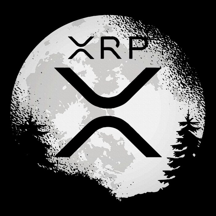 Xrp Hodl To The Moon Crypto Womens T-Shirt