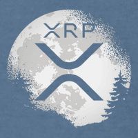 Xrp Hodl To The Moon Crypto Garment-Dyed Sweatshirt
