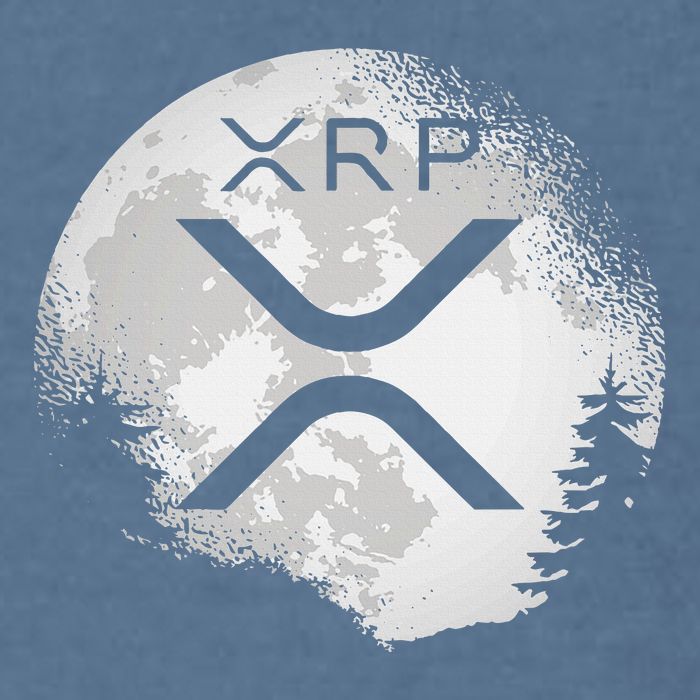 Xrp Hodl To The Moon Crypto Garment-Dyed Sweatshirt