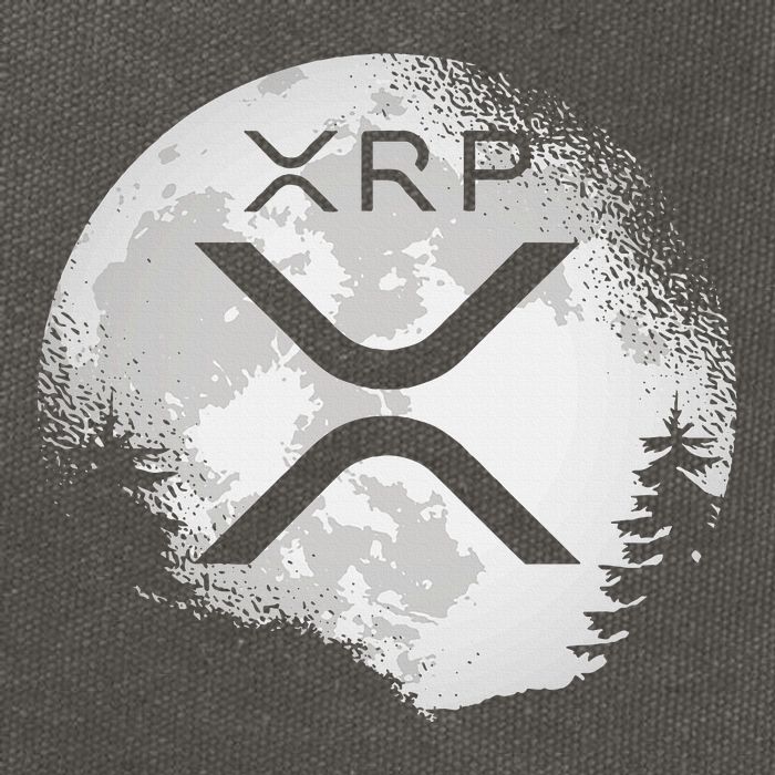 Xrp Hodl To The Moon Crypto Cotton Canvas Backpack