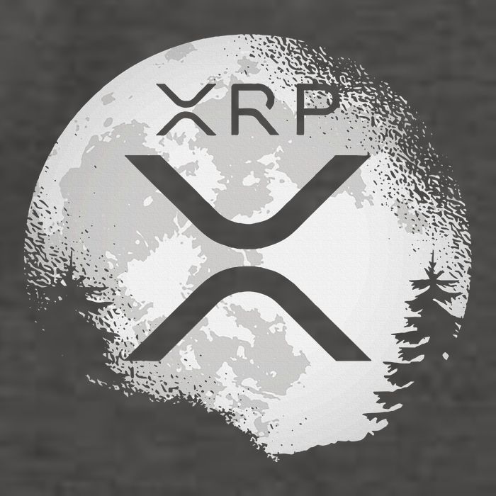 Xrp Hodl To The Moon Crypto Vector Backpack