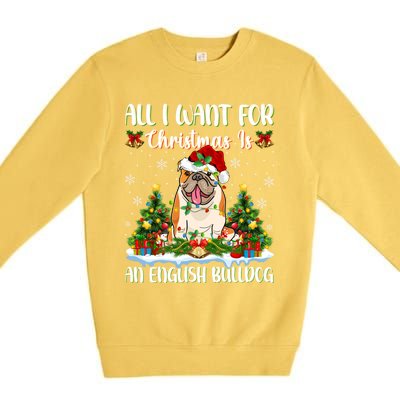 Xmas Lighting All I Want For Christmas Is A English Bulldog Gift Premium Crewneck Sweatshirt