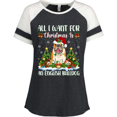 Xmas Lighting All I Want For Christmas Is A English Bulldog Gift Enza Ladies Jersey Colorblock Tee