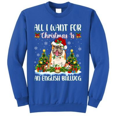 Xmas Lighting All I Want For Christmas Is A English Bulldog Gift Sweatshirt