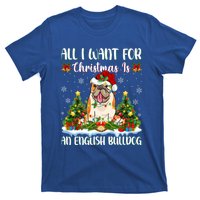 Xmas Lighting All I Want For Christmas Is A English Bulldog Gift T-Shirt