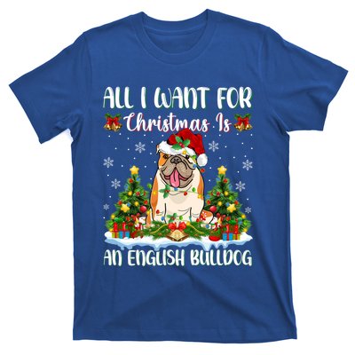 Xmas Lighting All I Want For Christmas Is A English Bulldog Gift T-Shirt