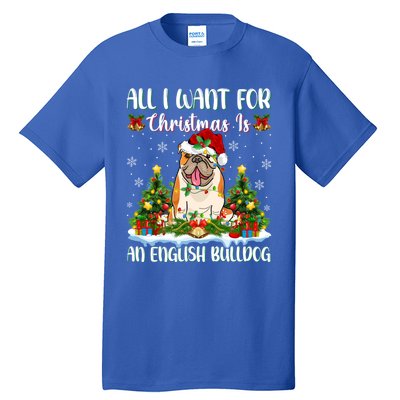 Xmas Lighting All I Want For Christmas Is A English Bulldog Gift Tall T-Shirt