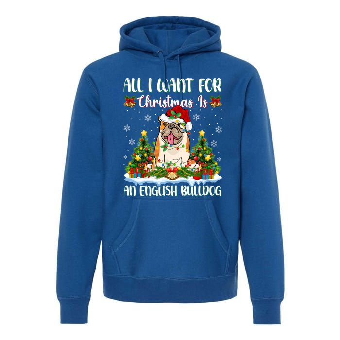 Xmas Lighting All I Want For Christmas Is A English Bulldog Gift Premium Hoodie