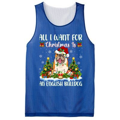 Xmas Lighting All I Want For Christmas Is A English Bulldog Gift Mesh Reversible Basketball Jersey Tank