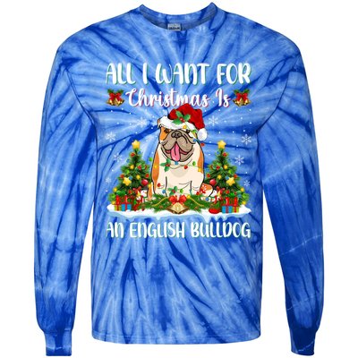 Xmas Lighting All I Want For Christmas Is A English Bulldog Gift Tie-Dye Long Sleeve Shirt