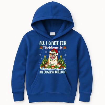 Xmas Lighting All I Want For Christmas Is A English Bulldog Gift Kids Hoodie