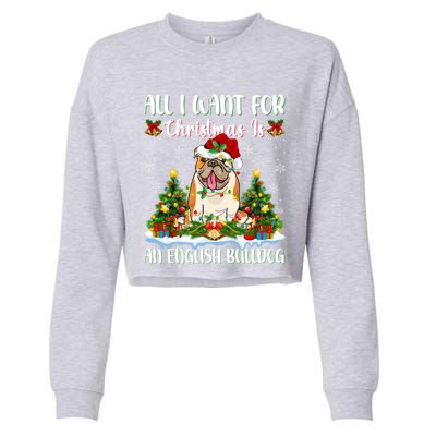 Xmas Lighting All I Want For Christmas Is A English Bulldog Gift Cropped Pullover Crew