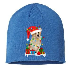 Xmas Lighting Corgi Dog Merry Corgmas Santa Corgi Christmas Gift Sustainable Beanie