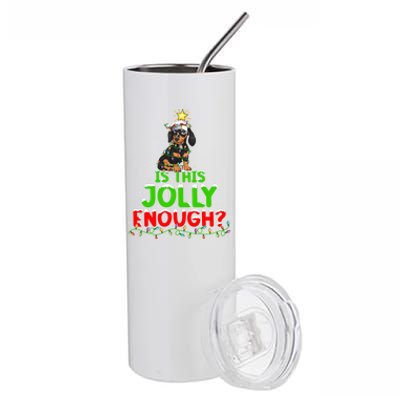 Xmas Lighting Is This Jolly Enough Dachshund Christmas Tree Gift Stainless Steel Tumbler