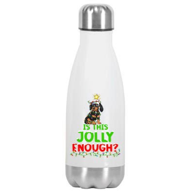 Xmas Lighting Is This Jolly Enough Dachshund Christmas Tree Gift Stainless Steel Insulated Water Bottle