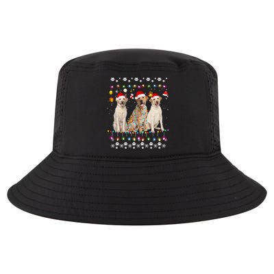 Xmas Lighting Matching Ugly Labrador Retriever Dog Christmas Gift Cool Comfort Performance Bucket Hat