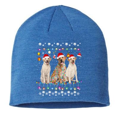 Xmas Lighting Matching Ugly Labrador Retriever Dog Christmas Gift Sustainable Beanie