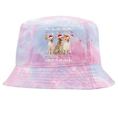 Xmas Lighting Matching Ugly Labrador Retriever Dog Christmas Gift Tie-Dyed Bucket Hat