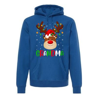 Xmas Lighting Matching Family Grandma Reindeer Christmas Gift Premium Hoodie