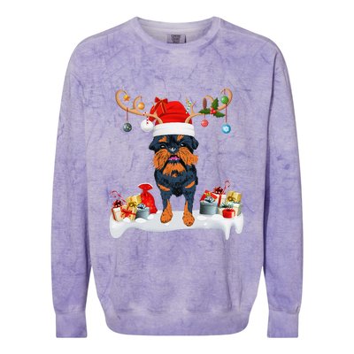 Xmas Lights Reindeer Santa Brussels Griffon Dog Christmas Colorblast Crewneck Sweatshirt