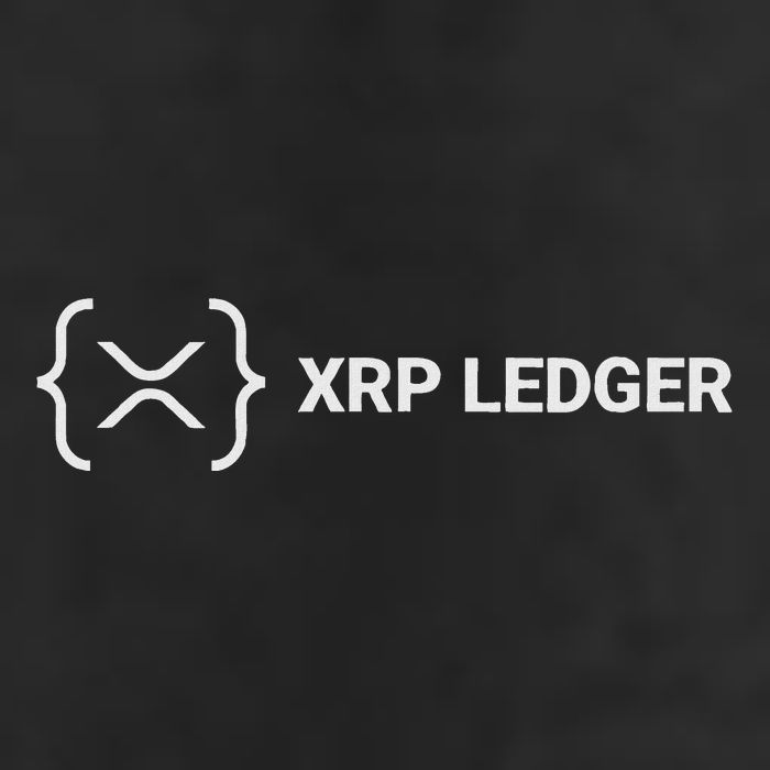 Xrp Ledger Ripple Nano Cold Wallet Cryptocurrency Blockchain Cool Comfort Performance Bucket Hat