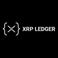 Xrp Ledger Ripple Nano Cold Wallet Cryptocurrency Blockchain 16 in Basic Backpack