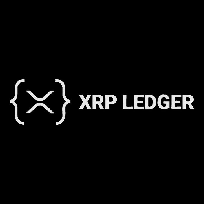 Xrp Ledger Ripple Nano Cold Wallet Cryptocurrency Blockchain 16 in Basic Backpack