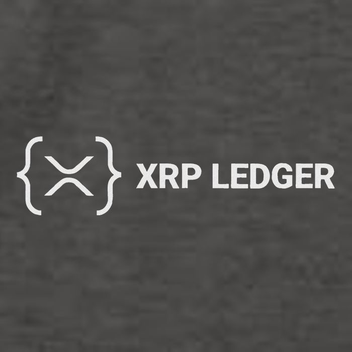 Xrp Ledger Ripple Nano Cold Wallet Cryptocurrency Blockchain Vector Backpack