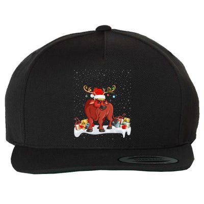 Xmas Lights Reindeer Santa Hat Water Buffalo Christmas Wool Snapback Cap