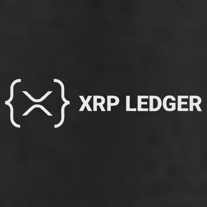 Xrp Ledger Ripple Nano Cold Wallet Cryptocurrency Blockchain Cool Comfort Performance Bucket Hat