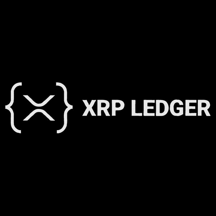 Xrp Ledger Ripple Nano Cold Wallet Cryptocurrency Blockchain 7-Panel Snapback Hat