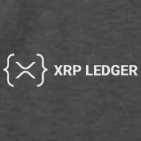 Xrp Ledger Ripple Nano Cold Wallet Cryptocurrency Blockchain Vector Backpack
