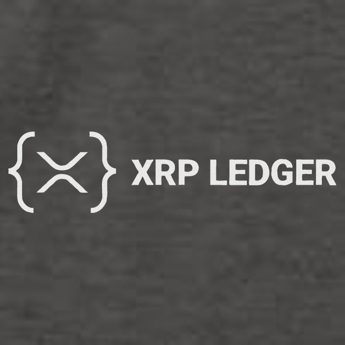 Xrp Ledger Ripple Nano Cold Wallet Cryptocurrency Blockchain Vector Backpack