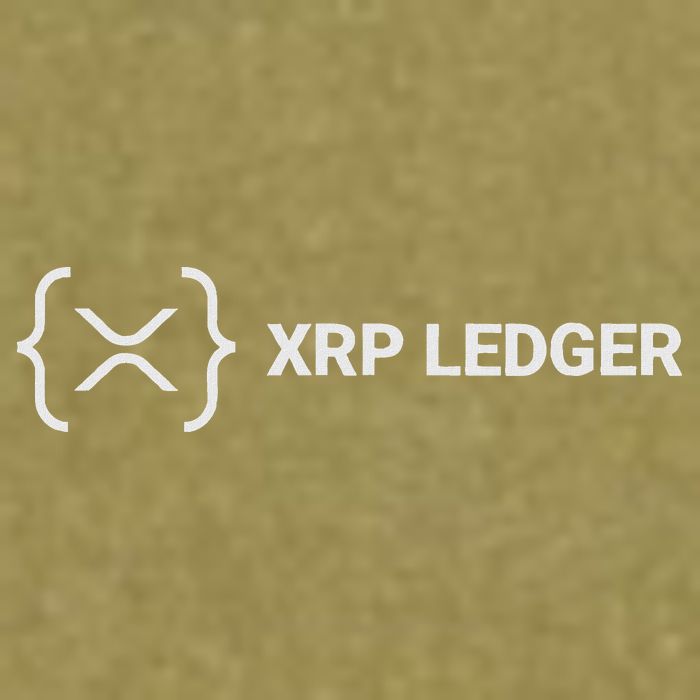 Xrp Ledger Ripple Nano Cold Wallet Cryptocurrency Blockchain Garment-Dyed Women's Muscle Tee