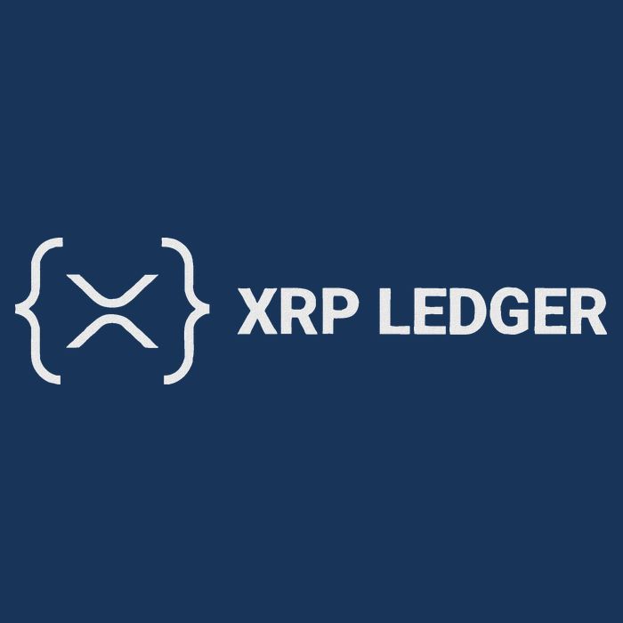 Xrp Ledger Ripple Nano Cold Wallet Cryptocurrency Blockchain Infant Baby Jersey Bodysuit