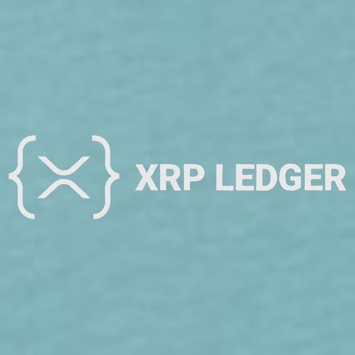 Xrp Ledger Ripple Nano Cold Wallet Cryptocurrency Blockchain Sueded Cloud Jersey T-Shirt