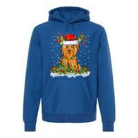 Xmas Lighting Santa Yorkshire Terrier Dog Christmas Gift Premium Hoodie