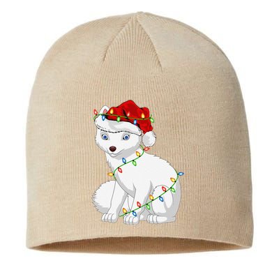 Xmas Lights Santa Hat Arctic Fox Christmas Sustainable Beanie