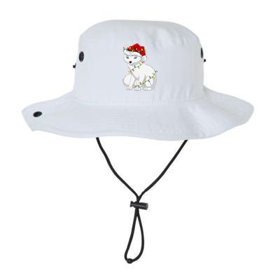 Xmas Lights Santa Hat Arctic Fox Christmas Legacy Cool Fit Booney Bucket Hat