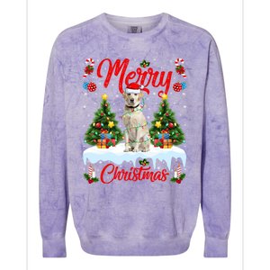 Xmas Lighting Santa Hat Labrador Retriever Dog Christmas Gift Colorblast Crewneck Sweatshirt