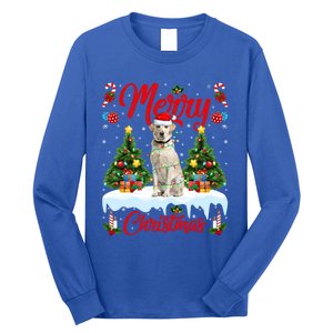 Xmas Lighting Santa Hat Labrador Retriever Dog Christmas Gift Long Sleeve Shirt