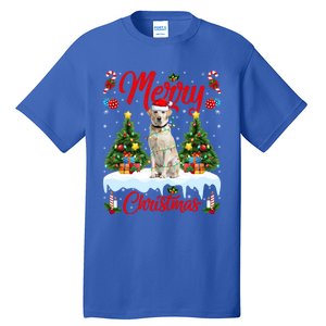 Xmas Lighting Santa Hat Labrador Retriever Dog Christmas Gift Tall T-Shirt