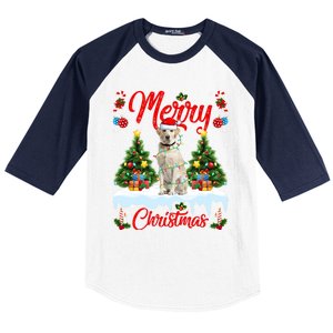 Xmas Lighting Santa Hat Labrador Retriever Dog Christmas Gift Baseball Sleeve Shirt