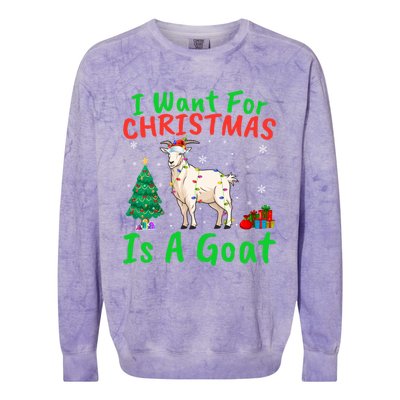 Xmas Lighting Santa Goat I Want For Christmas Is A Goat Gift Colorblast Crewneck Sweatshirt