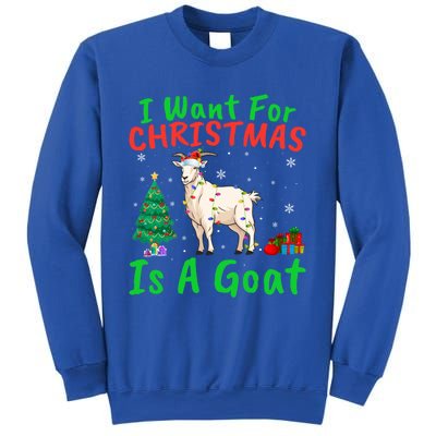 Xmas Lighting Santa Goat I Want For Christmas Is A Goat Gift Sweatshirt